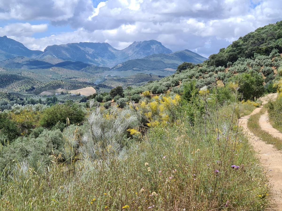 Casa Alta Holiday Home El Esparragal  ภายนอก รูปภาพ